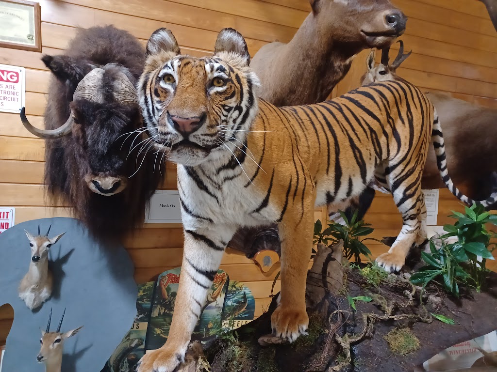 The Wildlife Sports and Educational Museum | 3747 NY-30, Amsterdam, NY 12010, USA | Phone: (518) 762-7925