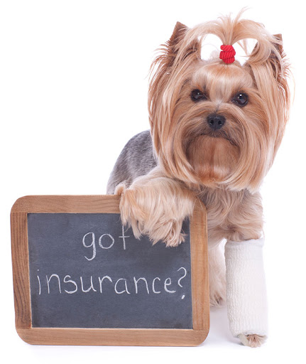 Az 101 Insurance | 9375 E Shea Blvd Suite 100, Scottsdale, AZ 85260, USA | Phone: (480) 576-2484