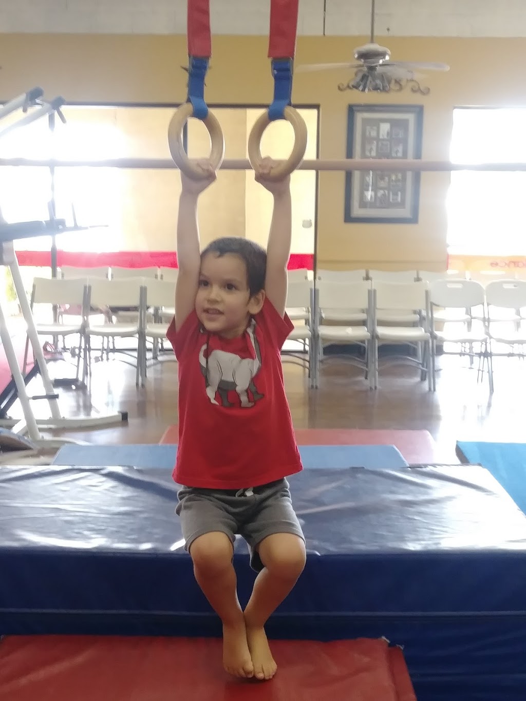 Ms Carols Gymkids | 116 N Lindsay Rd suite 9-13, Mesa, AZ 85213, USA | Phone: (480) 777-1033