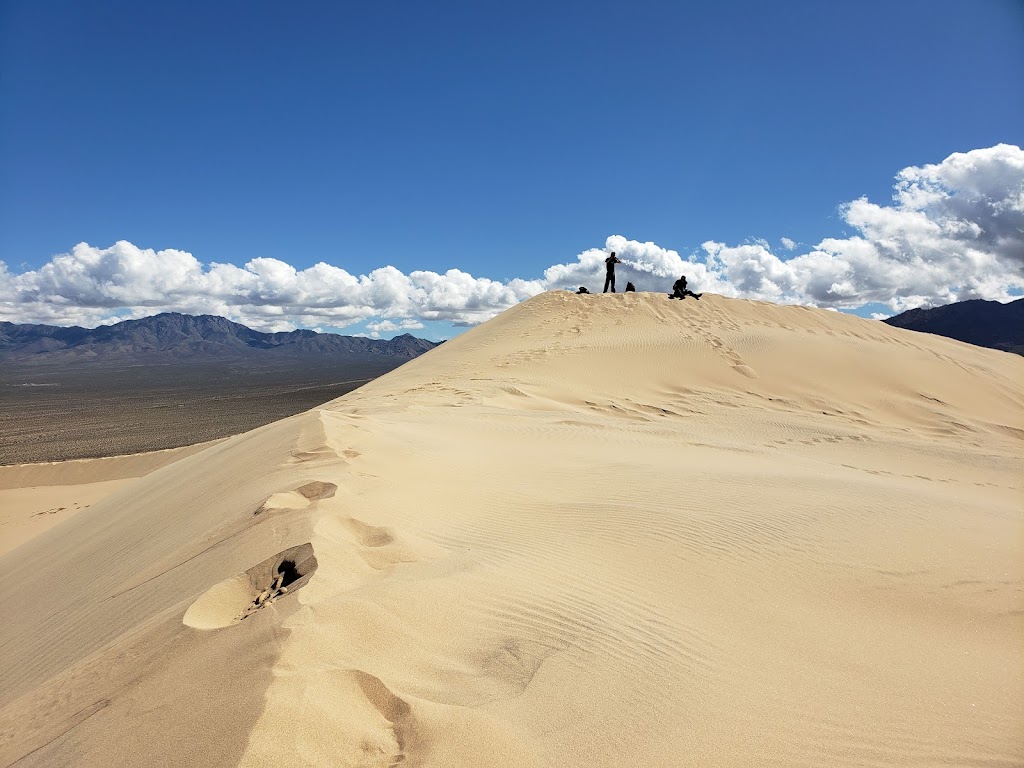 Mojave National Preserve | 90942 Kelso Cima Rd, Essex, CA 92332, USA | Phone: (760) 252-6100