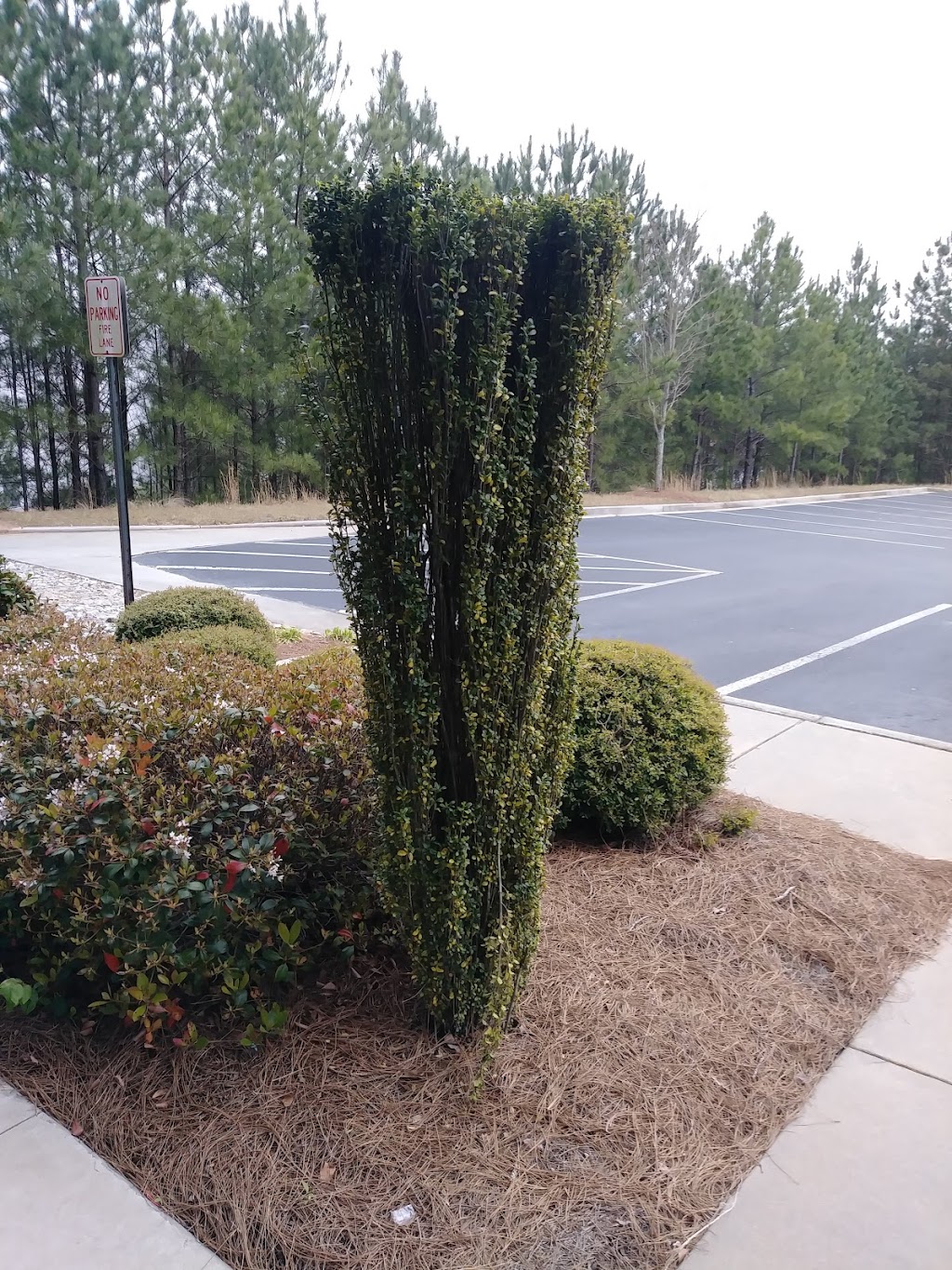 Chadwell Supply | 7555 Wood Rd Suite 100, Douglasville, GA 30134, USA | Phone: (888) 341-2423