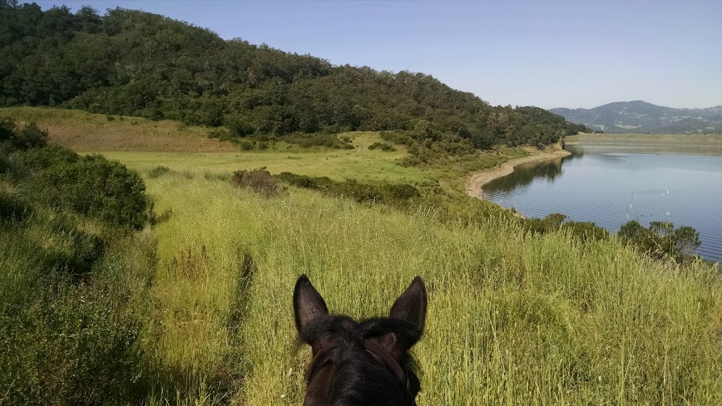 Horse Priority Rehabilitation & Equine Digital Radiography | 16156 Duggans Rd, Grass Valley, CA 95949, USA | Phone: (916) 202-4430