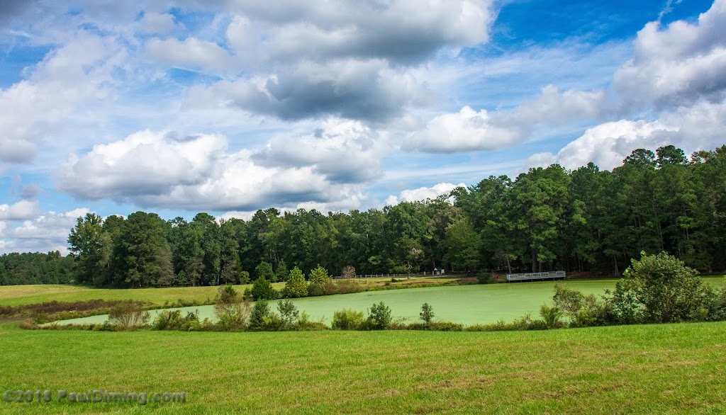 Boy Scouts of America - Albright Scout Reservation Camp | 11301 Trents Bridge Rd, Chesterfield, VA 23838, USA | Phone: (804) 355-4306