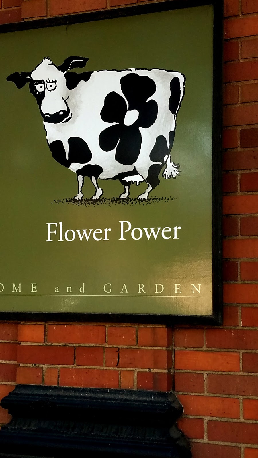 Flower Power | 11275 CA-1, Point Reyes Station, CA 94956, USA | Phone: (415) 663-8221