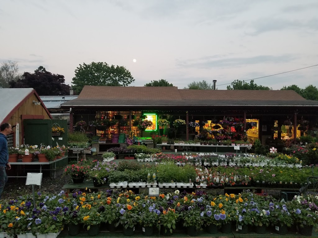 Little Brook Florist Farm & Garden Center | 190 Lincoln Ave, Saugus, MA 01906, USA | Phone: (781) 231-9663