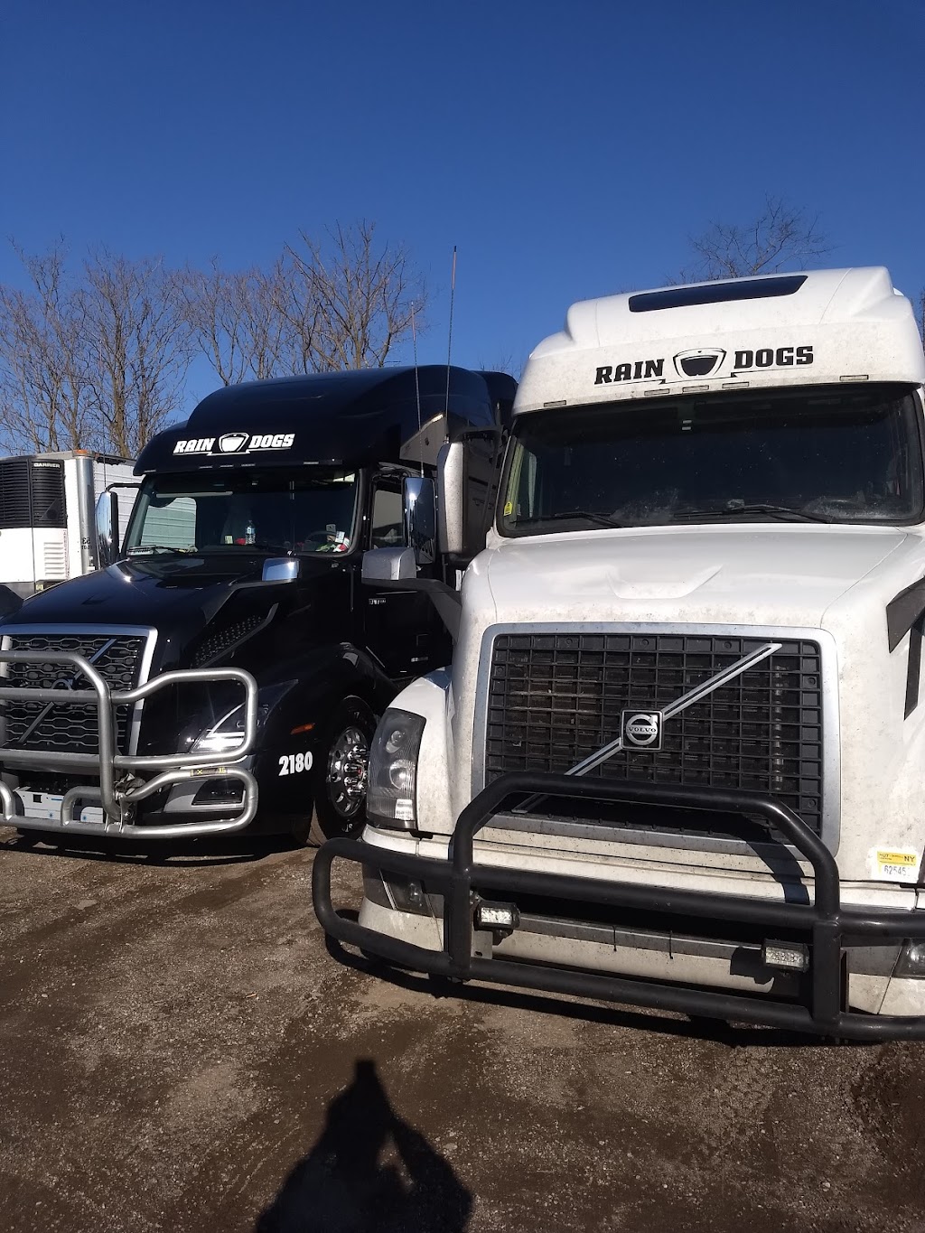 Rain Dogs Trucking | 689 Executive Dr, Willowbrook, IL 60527, USA | Phone: (708) 898-4900