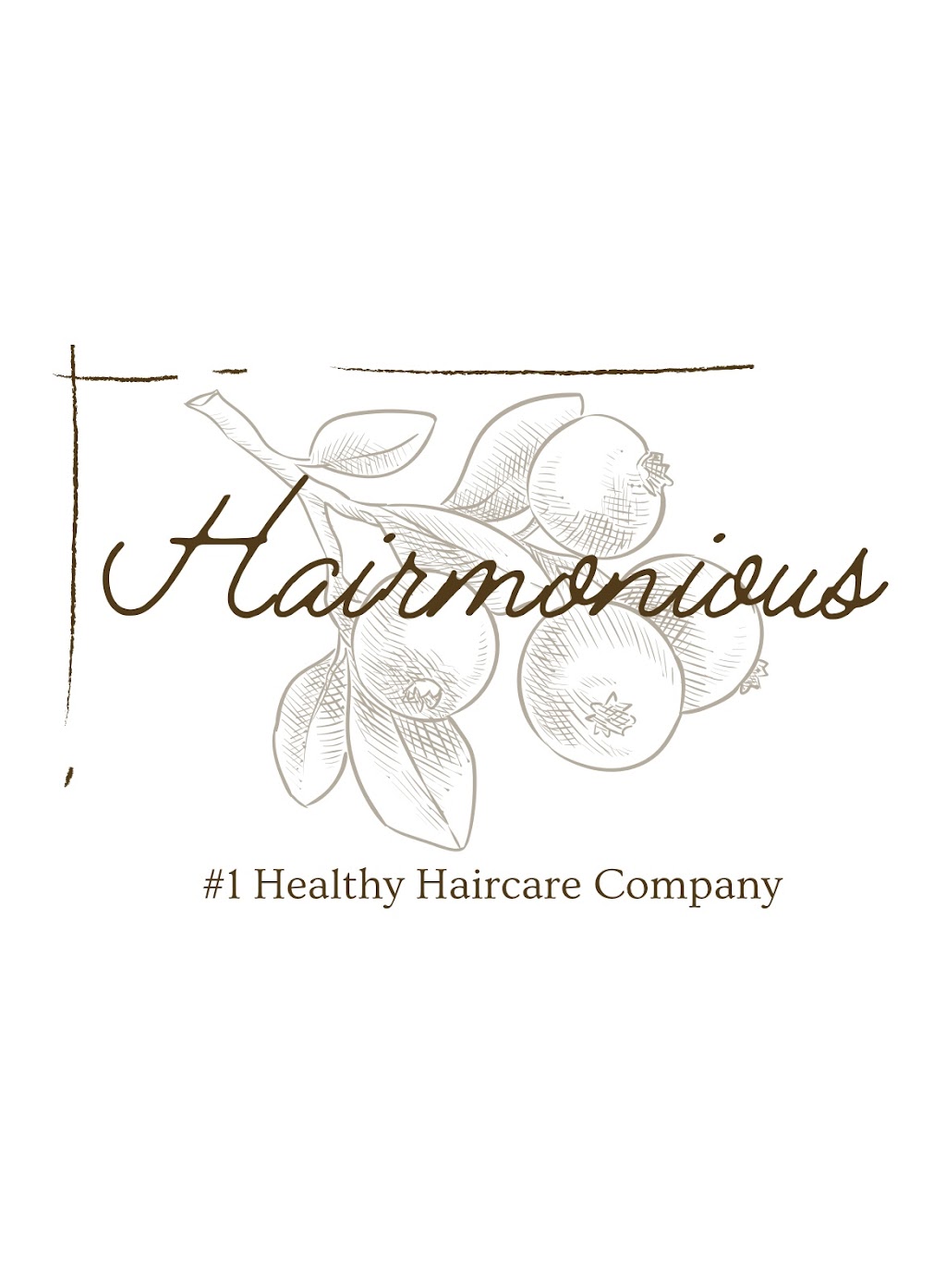 Hairmonious Beauty & Co. | 2523 Shiloh Springs Rd, Dayton, OH 45426, USA | Phone: (937) 677-2867