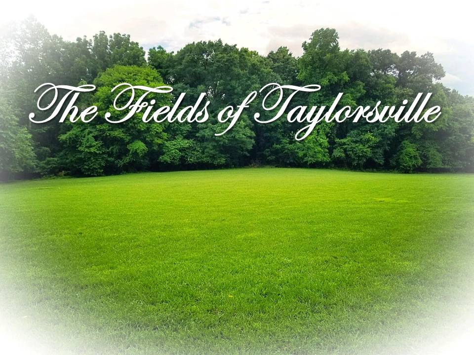 The Fields of Taylorsville | 15359 Taylorsville Rd, Doswell, VA 23047 | Phone: (804) 464-5646