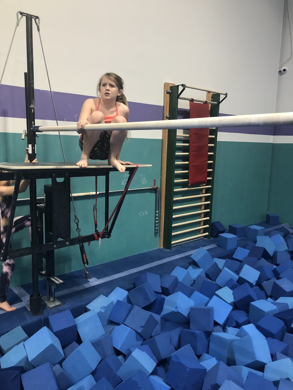 Barron Gymnastics | 5411 Jedmed Ct, St. Louis, MO 63129, USA | Phone: (314) 892-6909