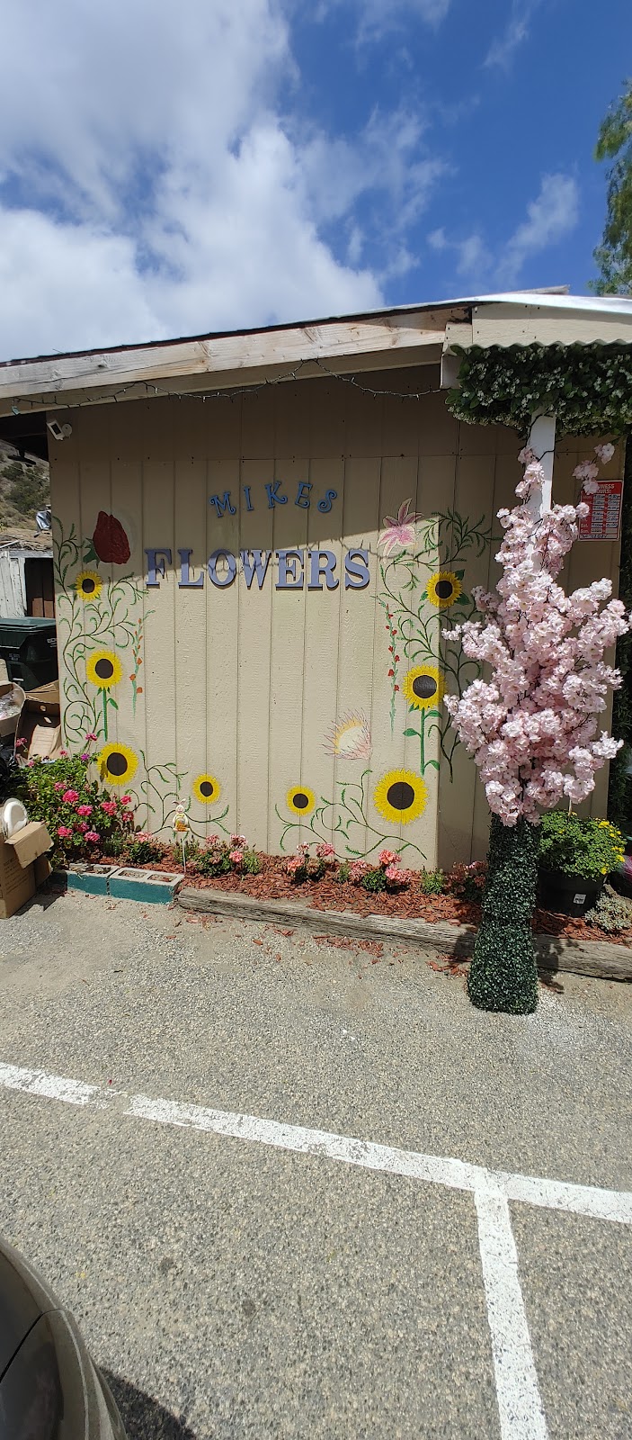 Mikes Flowers | 4304 Pala Rd, Fallbrook, CA 92028, USA | Phone: (760) 728-5184