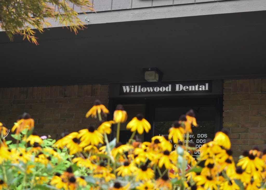 Willow Wood Dental | 31590 Schoolcraft, Livonia, MI 48150, USA | Phone: (734) 228-1551