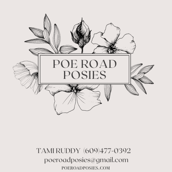 Poe Road Posies | 128 Poe Rd, Princeton, NJ 08540, USA | Phone: (609) 477-0392