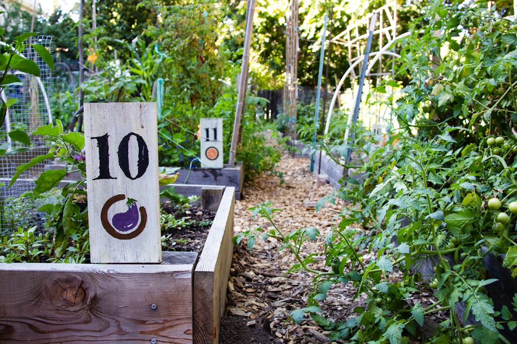 Collective Roots Community Garden | 1785 Woodland Ave, East Palo Alto, CA 94303, USA | Phone: (925) 771-2990