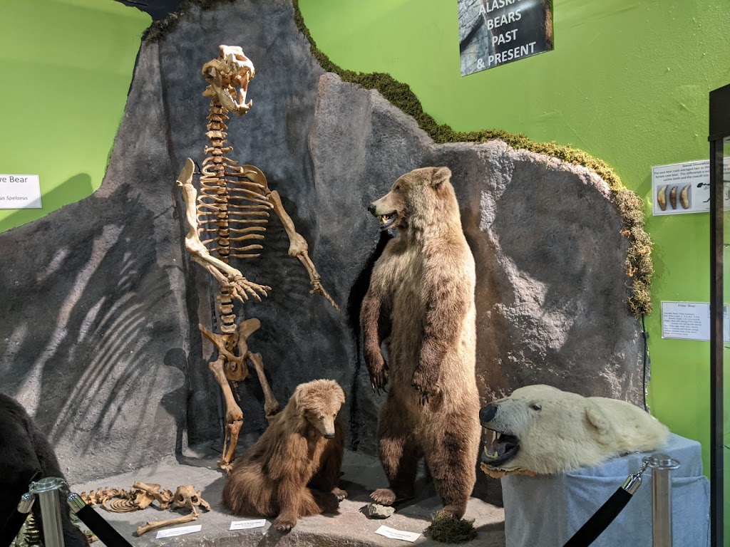 Alaska Museum of Science and Nature | 201 N Bragaw St, Anchorage, AK 99508, USA | Phone: (907) 274-2400