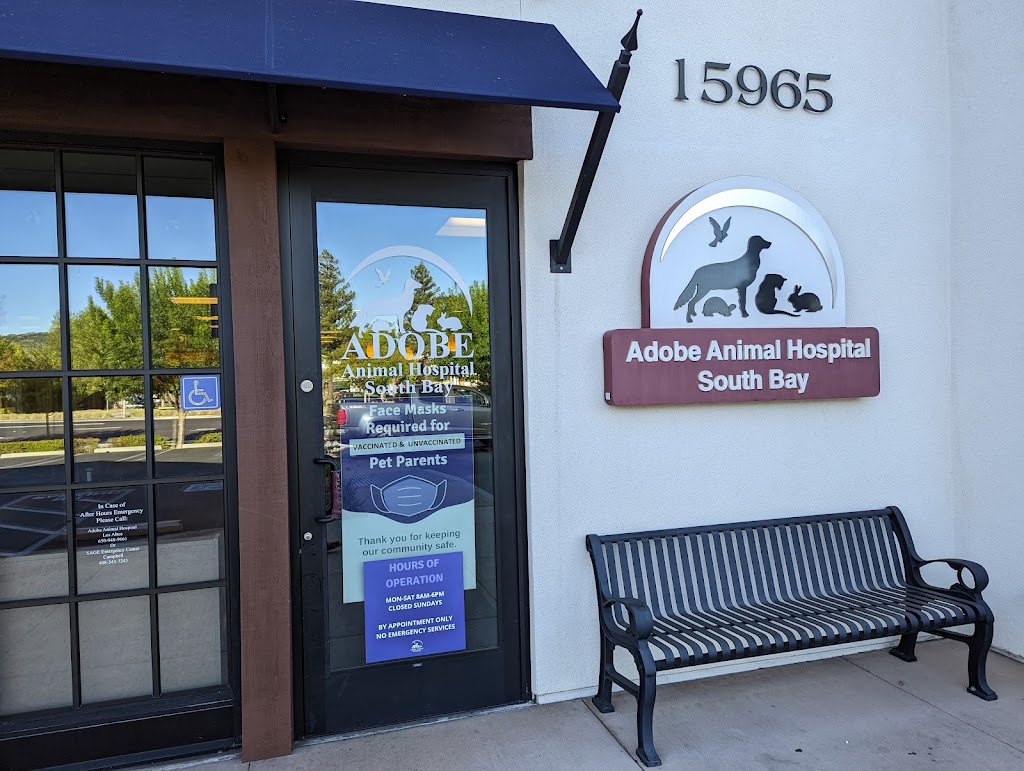 Adobe Animal Hospital South Bay | 15965 Los Gatos Blvd, Los Gatos, CA 95032, USA | Phone: (650) 948-9661