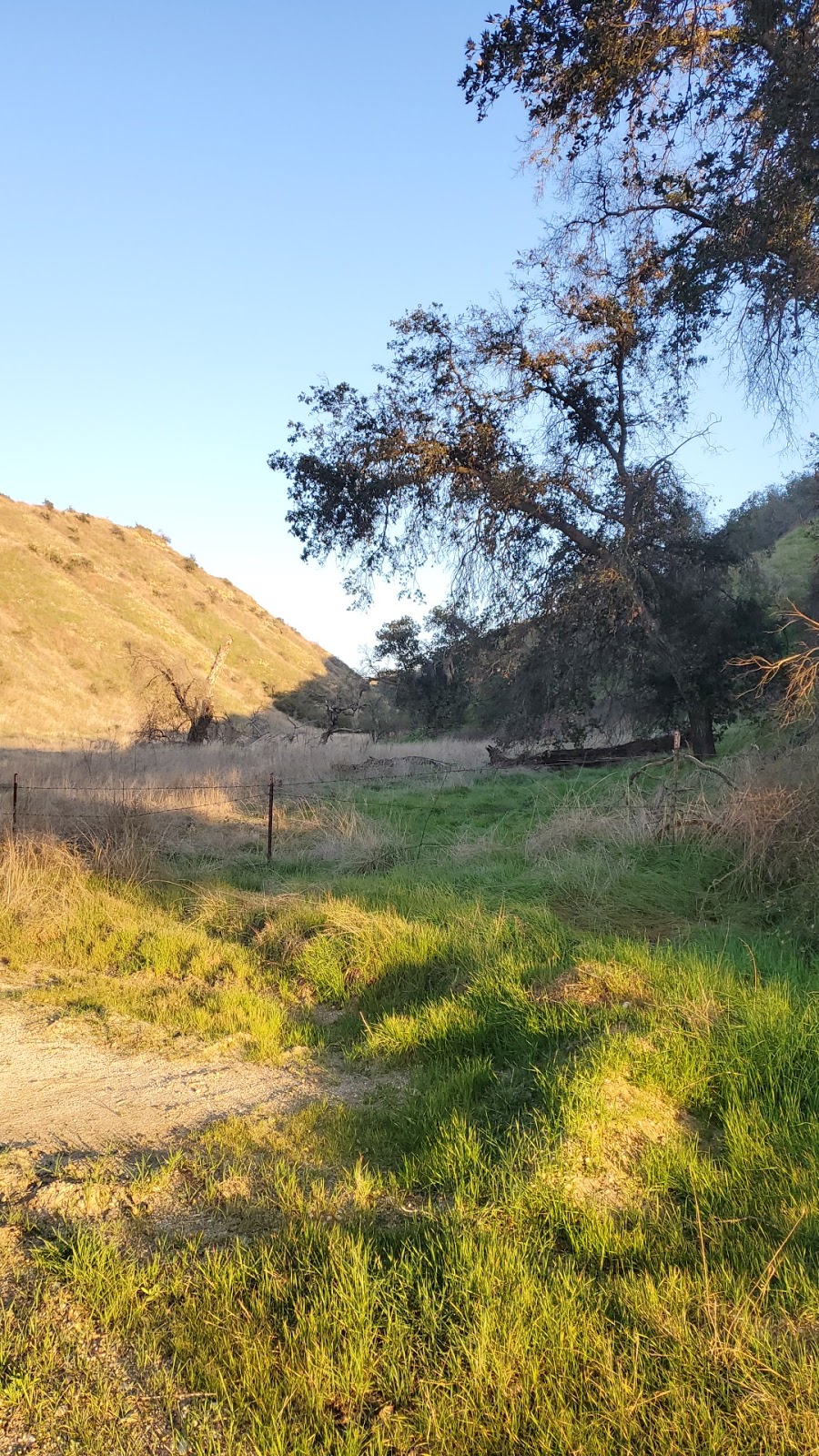 Cienega Canyon Preserve | San Timoteo Canyon Rd, Calimesa, CA 92320, USA | Phone: (951) 788-0670