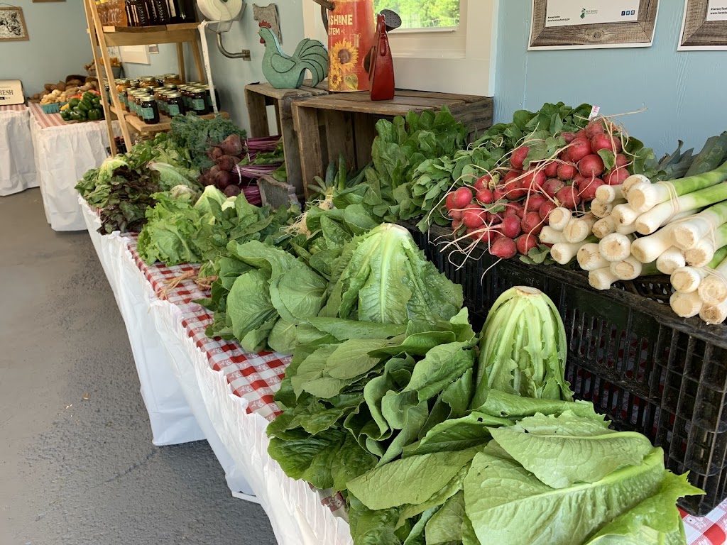 Alstede Fresh Farm Stand | 378 Rte 24, Chester, NJ 07930, USA | Phone: (908) 879-7189