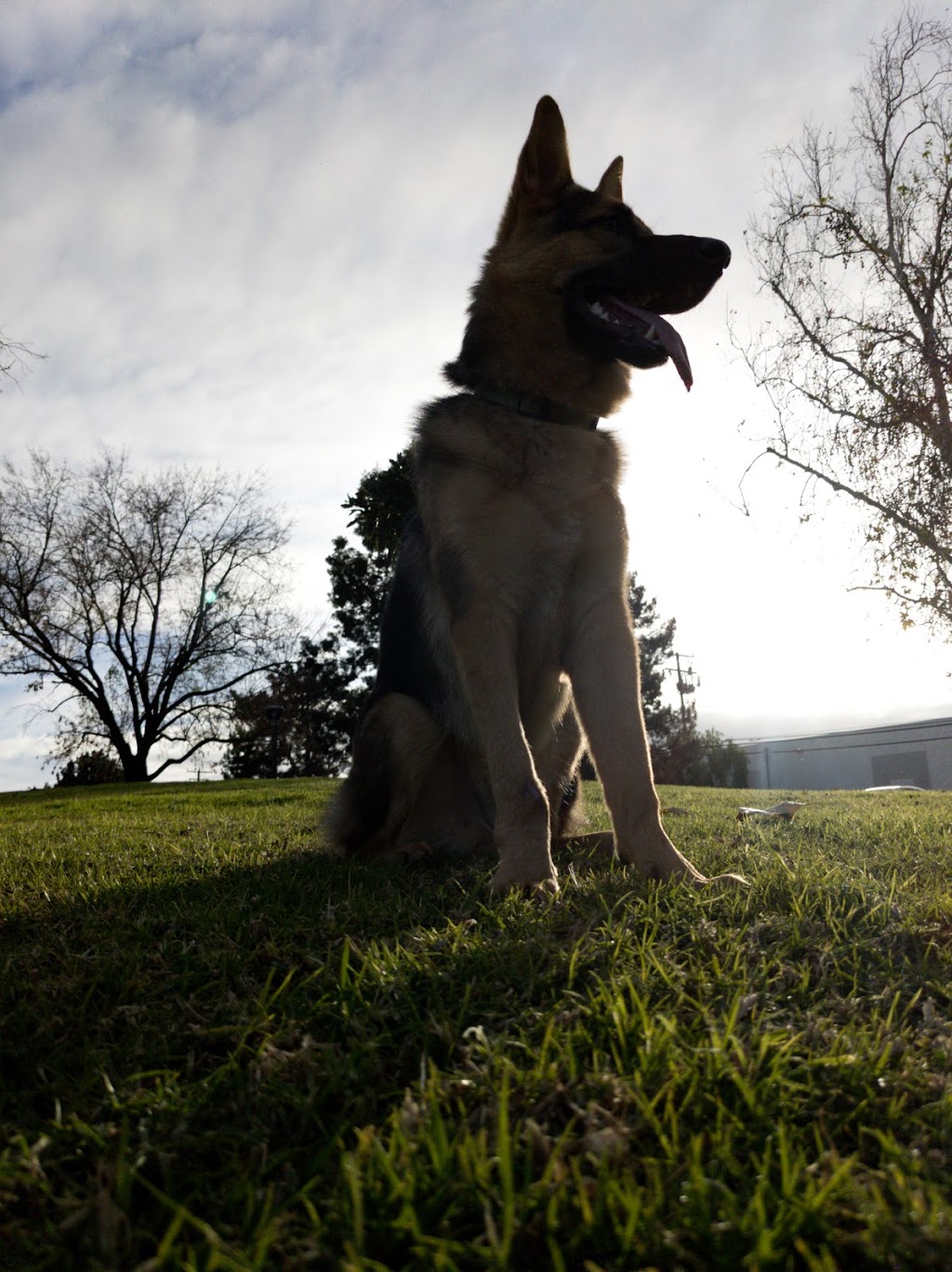 Frontier Park | 13212 Marquardt Ave, La Mirada, CA 90638, USA | Phone: (562) 921-7151