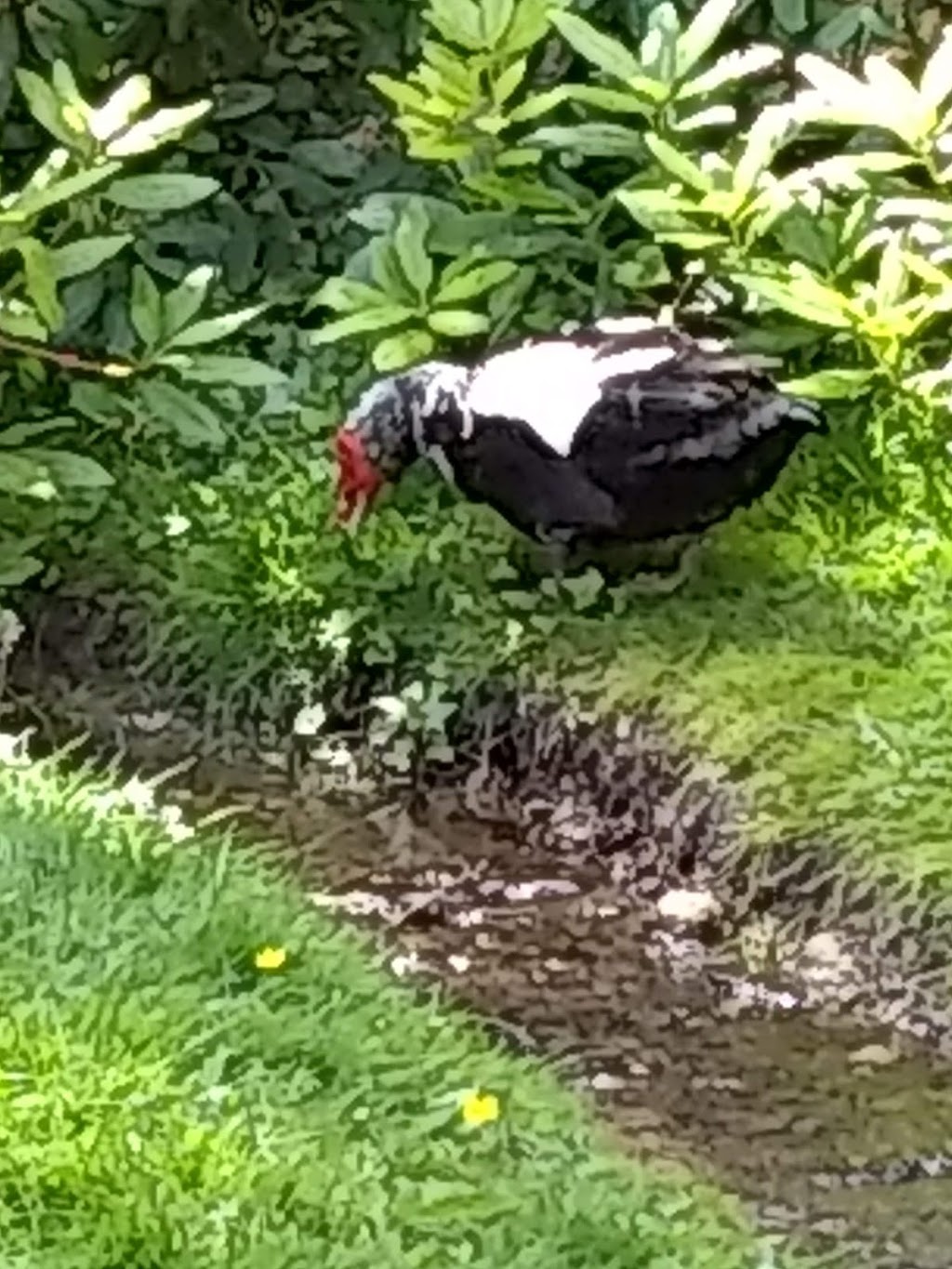 Hutchinson Playground | 59th Ave S & S Norfolk St, 5801 S Pilgrim St, Seattle, WA 98118, USA | Phone: (206) 684-4075