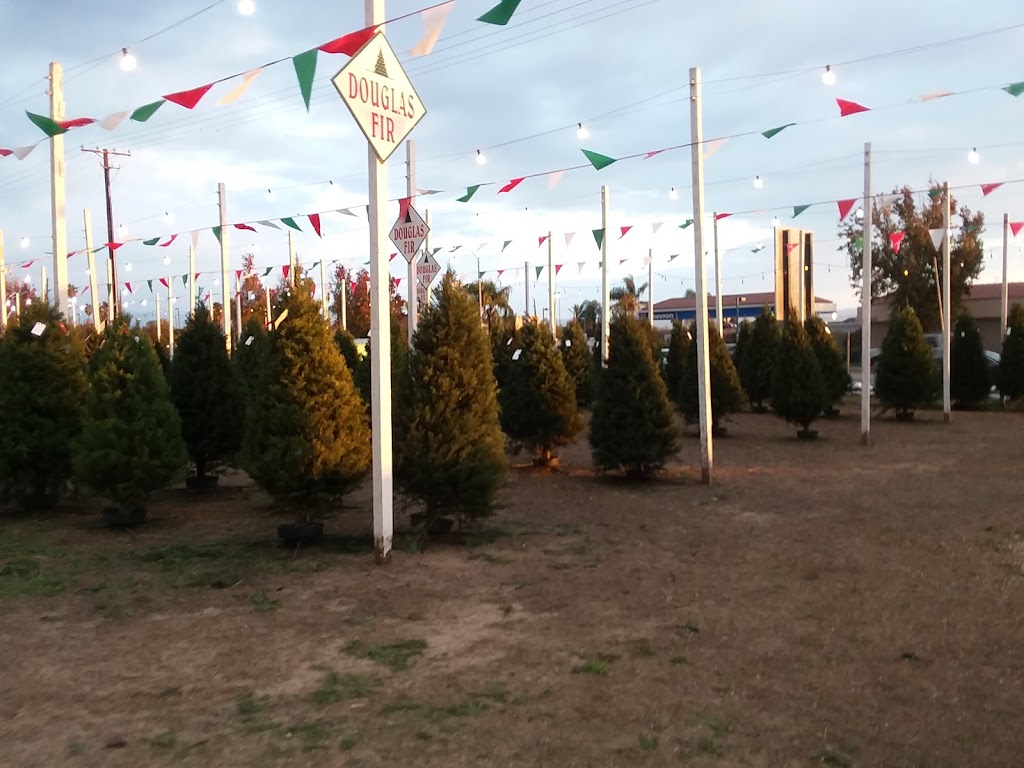 Lorens Christmas Trees | 2500 Highland Ave, Highland, CA 92346, USA | Phone: (909) 864-4621