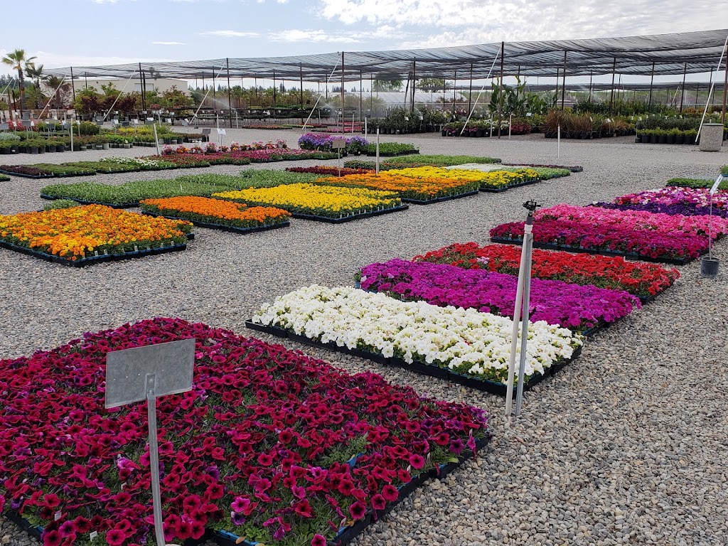 Riverside Nursery and Landscape | Enter Off Chateau, 7864 W Shaw Ave, Fresno, CA 93722, USA | Phone: (559) 275-1891