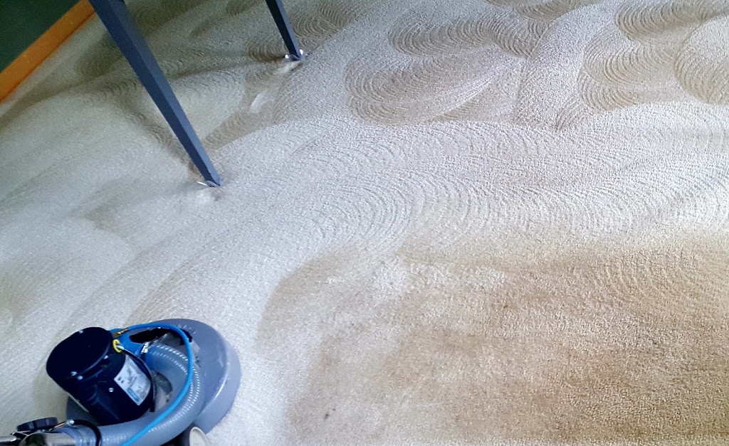 360 Steam Carpet Cleaning | 9238 Hillcrest Dr, Savage, MN 55378, USA | Phone: (612) 913-2735