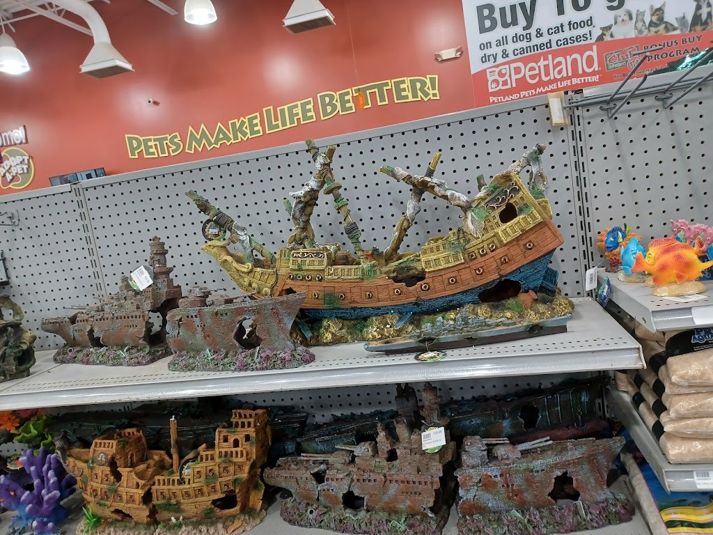 Petland Bolingbrook | The Promenade at Bolingbrook, Petland 744 E Boughton Rd, Bolingbrook, IL 60440, USA | Phone: (630) 739-1213