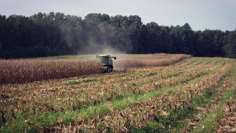 Insurance of the Carolinas - Farm & Agribusiness | 504 N Greensboro St Suite B, Liberty, NC 27298, USA | Phone: (336) 622-8000