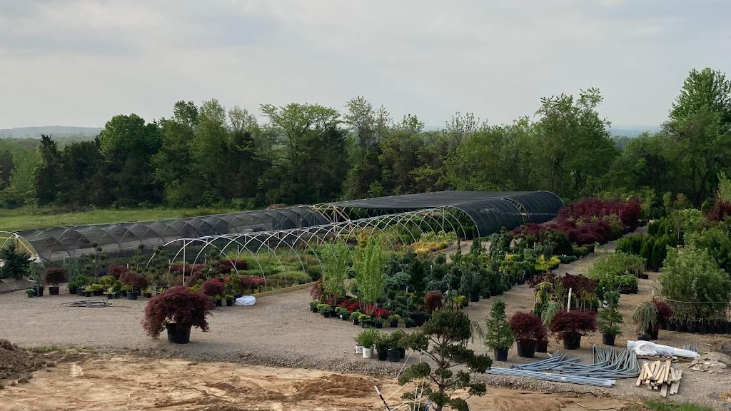 Ben’s Nursery & Landscape Supply | 4756 Hwy Y, Valles Mines, MO 63087, USA | Phone: (573) 315-7047