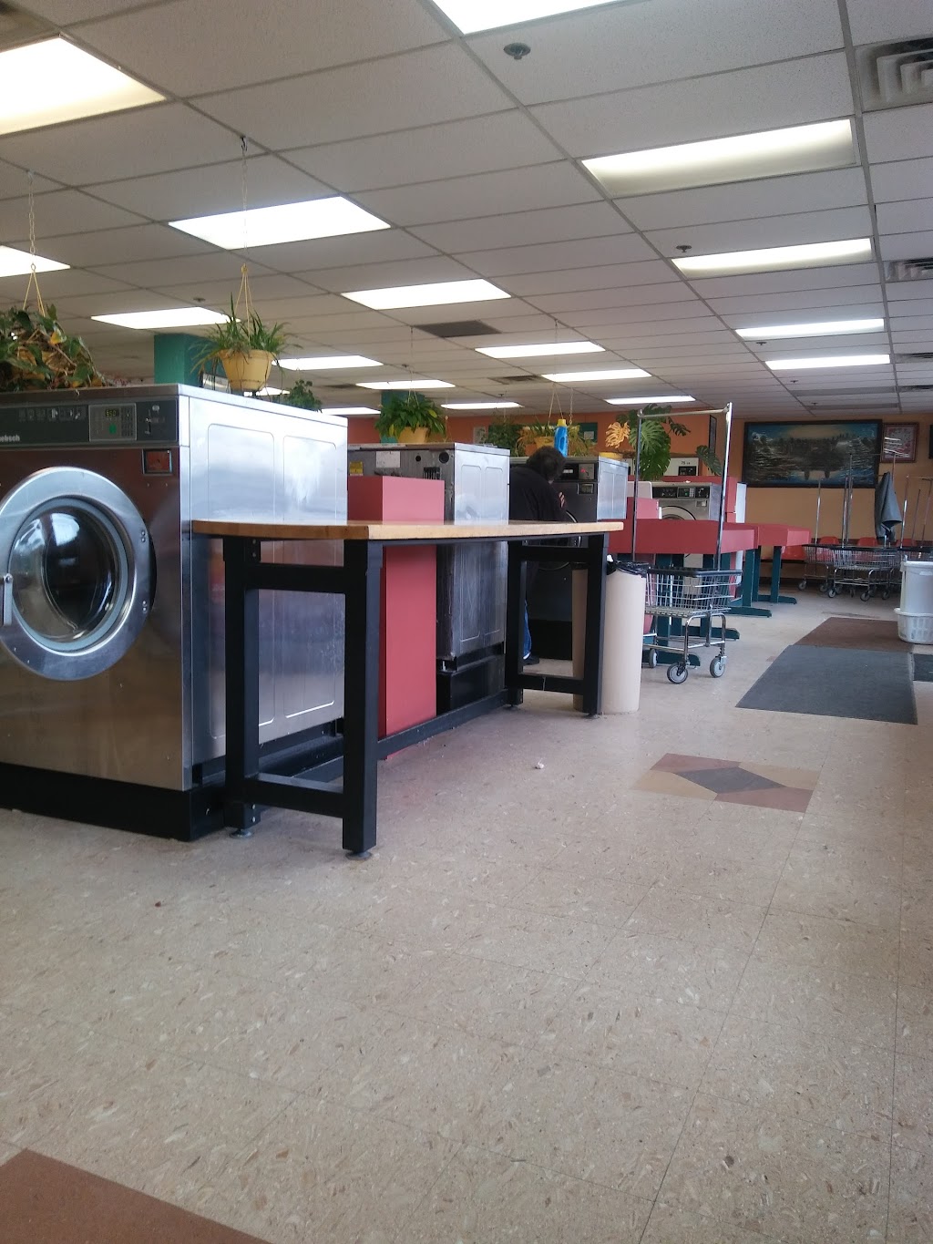 D Family Laundromat | 6634 Lake Otis Pkwy E, Anchorage, AK 99507, USA | Phone: (907) 344-6634