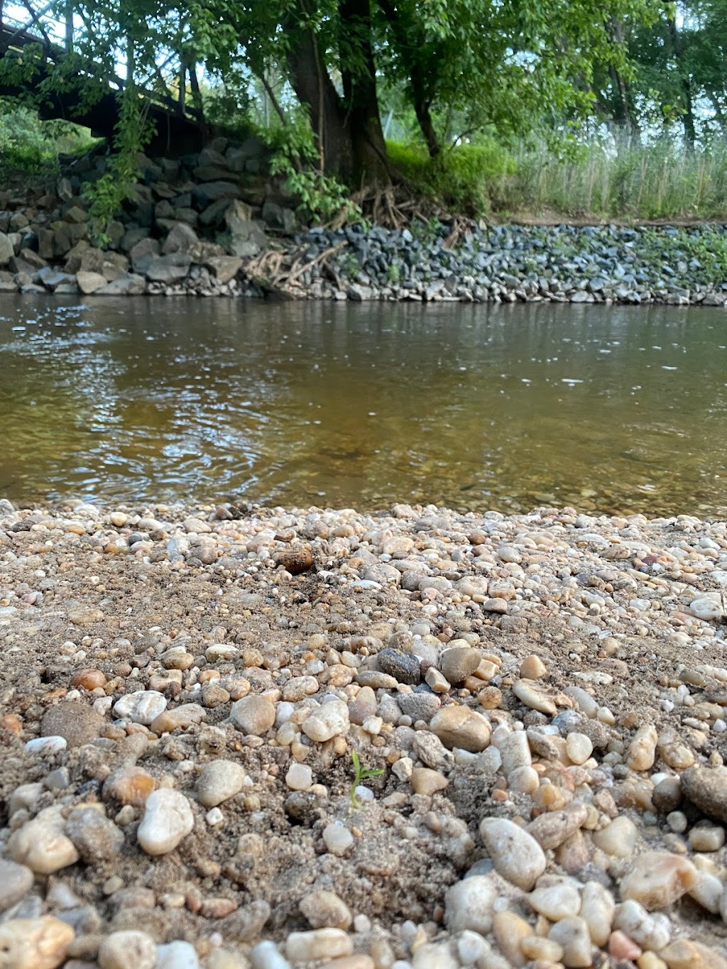 Lake Artemesia Natural Area | 8200 55th Ave, College Park, MD 20740, USA | Phone: (301) 627-7755