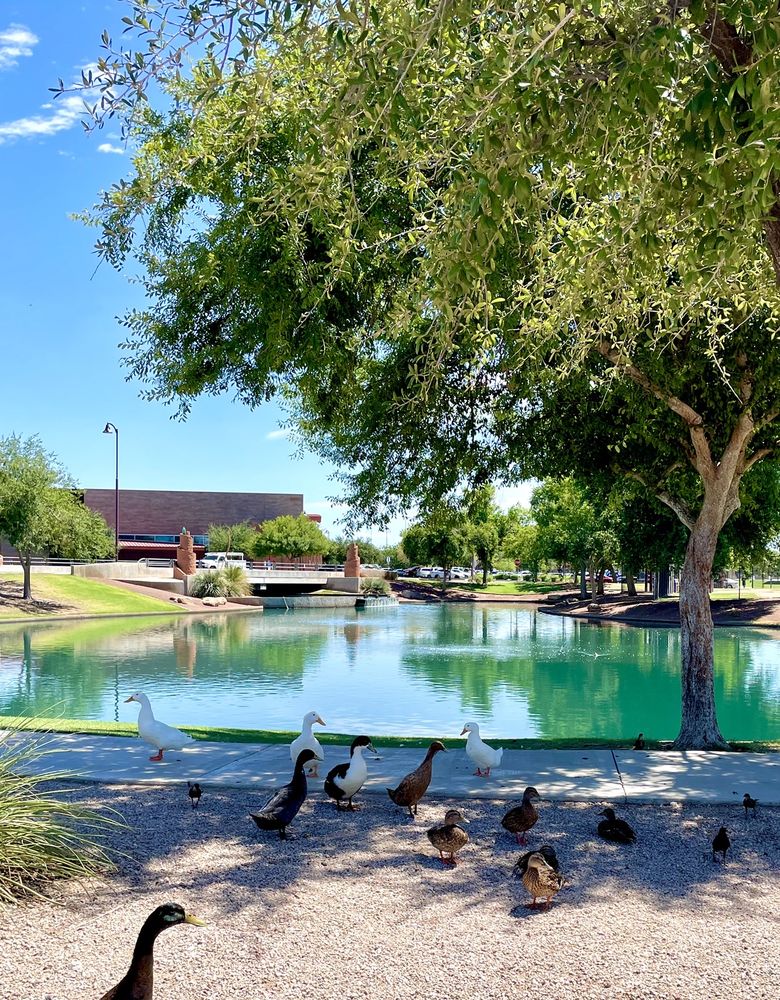 Rio Vista Community Park | 8866 W Thunderbird Rd, Peoria, AZ 85381, USA | Phone: (623) 773-8600