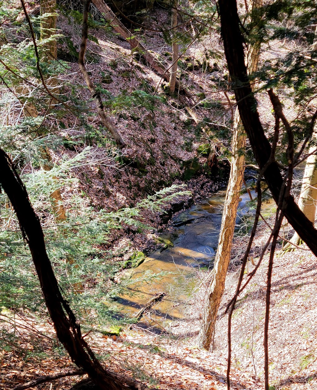 Weltons Gorge Preserve | 13973 Hale Rd, Burton, OH 44021, USA | Phone: (440) 286-9516