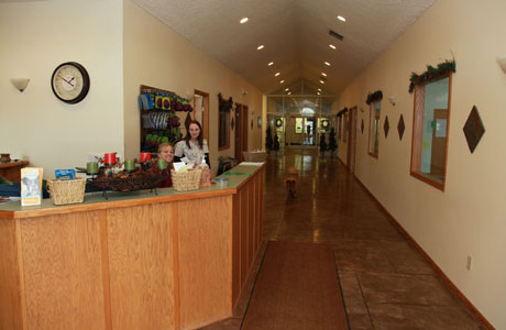 All Creatures Veterinary Clinic & Lodge | 249 High St, Wadsworth, OH 44281, USA | Phone: (330) 925-4910