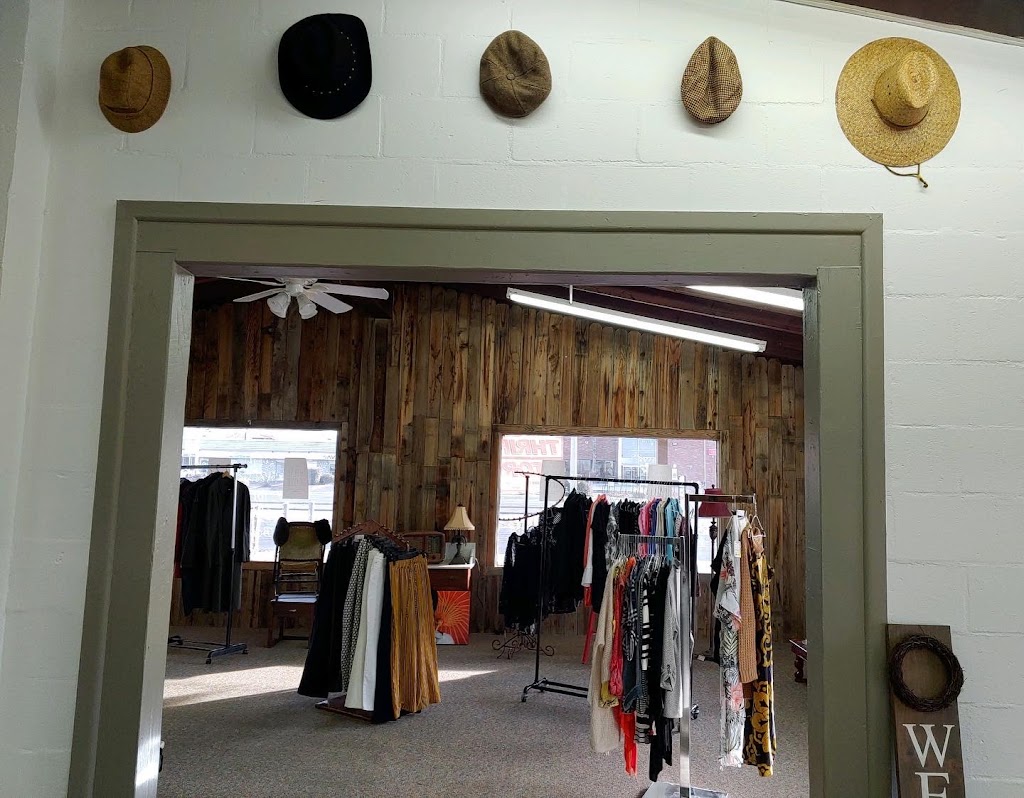 The Wild Goose Vintage & Thrift Store | 21810 CA-18 Unit #2, Apple Valley, CA 92307, USA | Phone: (760) 503-1288