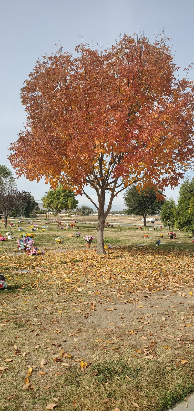 San Jacinto Valley Cemetery | 2555 S Santa Fe Ave, San Jacinto, CA 92583, USA | Phone: (951) 658-4923