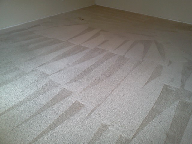 Genesis Carpet Cleaning | 5005 Highlands Dr, McKinney, TX 75070, USA | Phone: (214) 504-0401