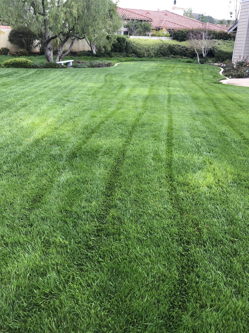 Felix landscaping & trees service maintenance | 870 Reeves Pl, Pomona, CA 91767, USA | Phone: (714) 866-1782