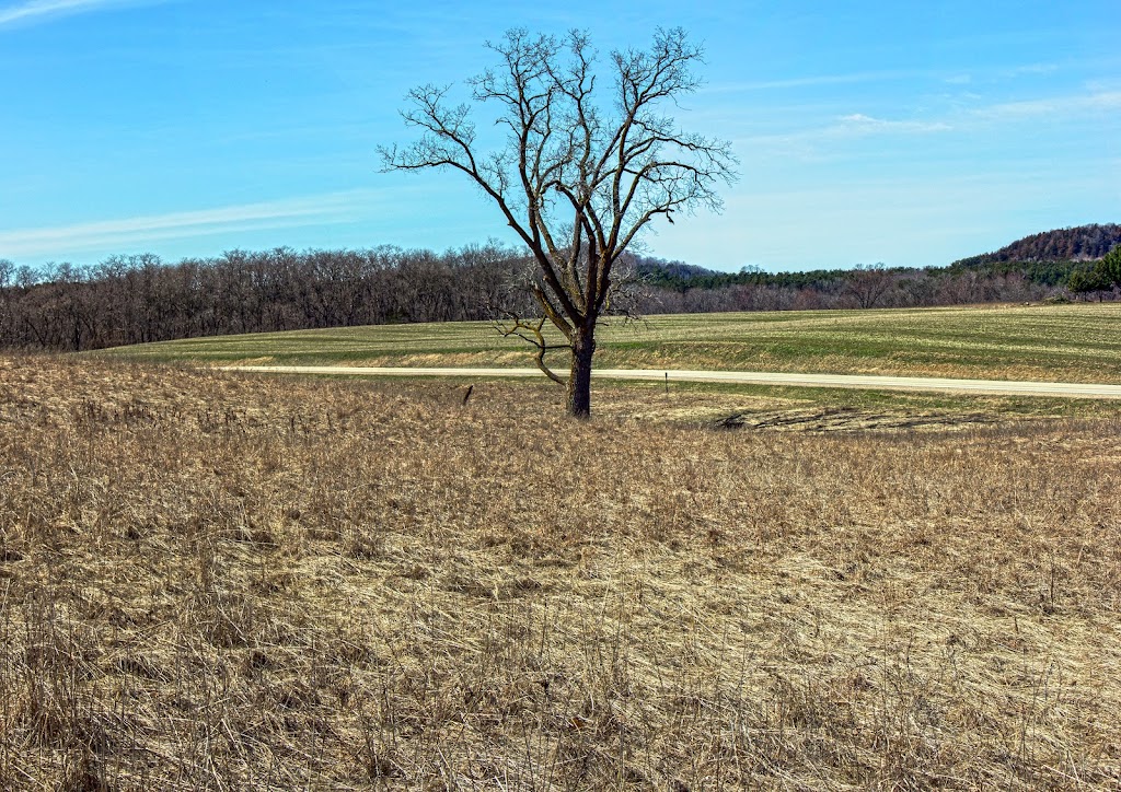 Schluckebier Prairie | Co Rd PF, Prairie Du Sac, WI 53578, USA | Phone: (888) 936-7463