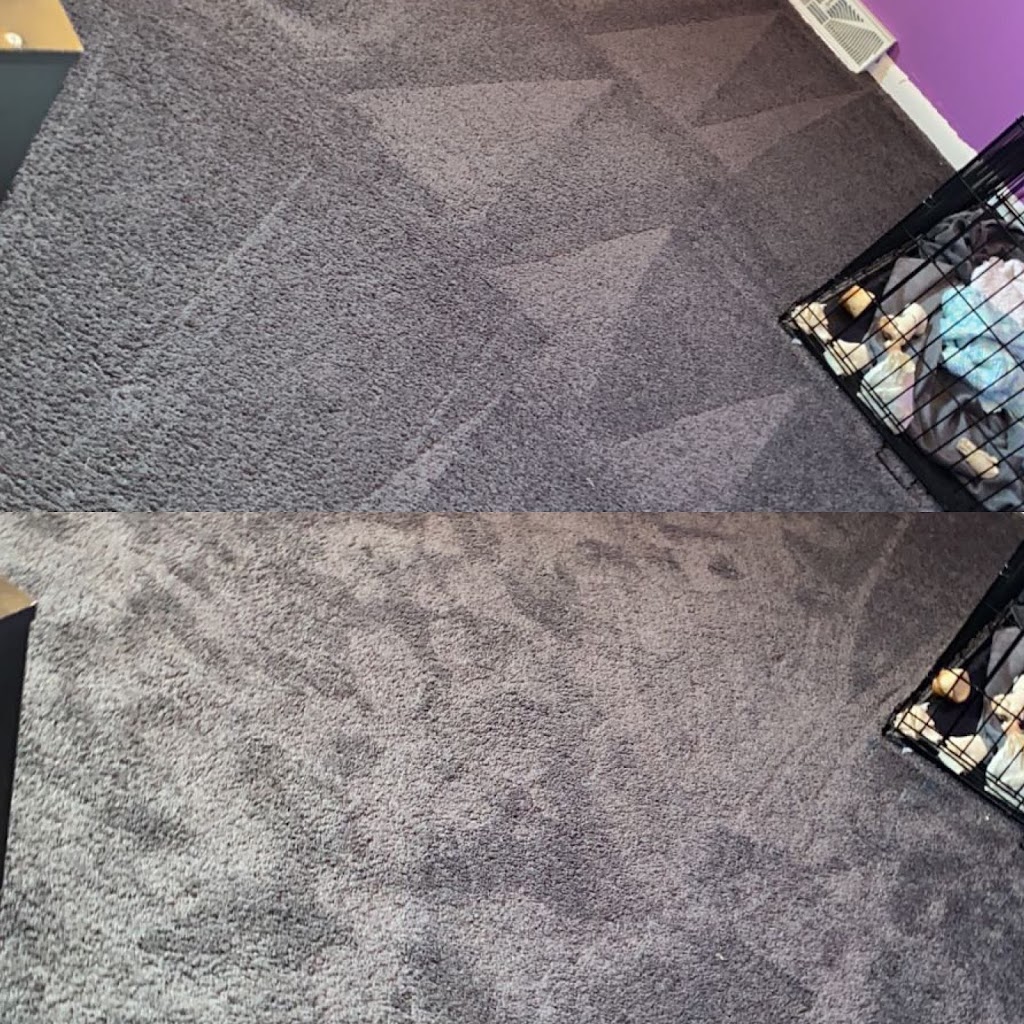 Higher Standard Carpet Cleaning | 3091 Raking Leaf Dr, Abingdon, MD 21009, USA | Phone: (443) 980-4211