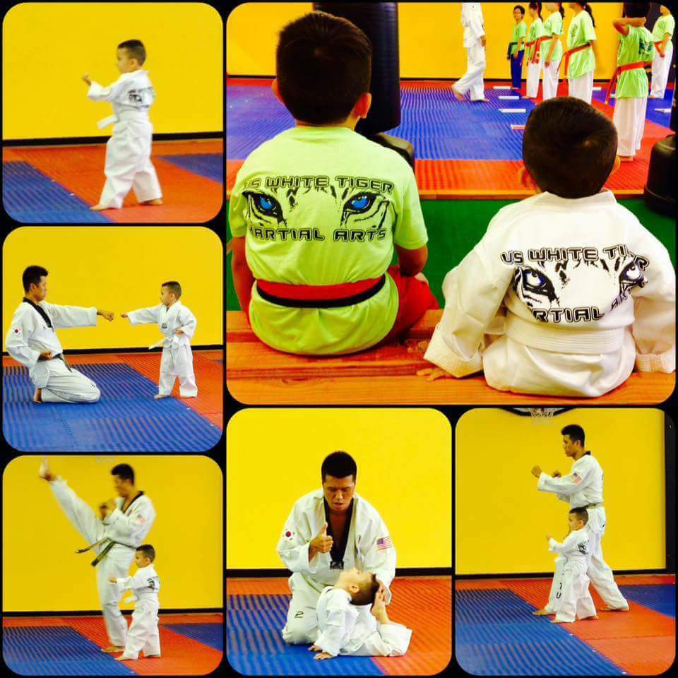 US White Tiger Martial Arts and Taekwondo | 2011 Spring Creek Pkwy #650, Plano, TX 75023, USA | Phone: (469) 734-5840