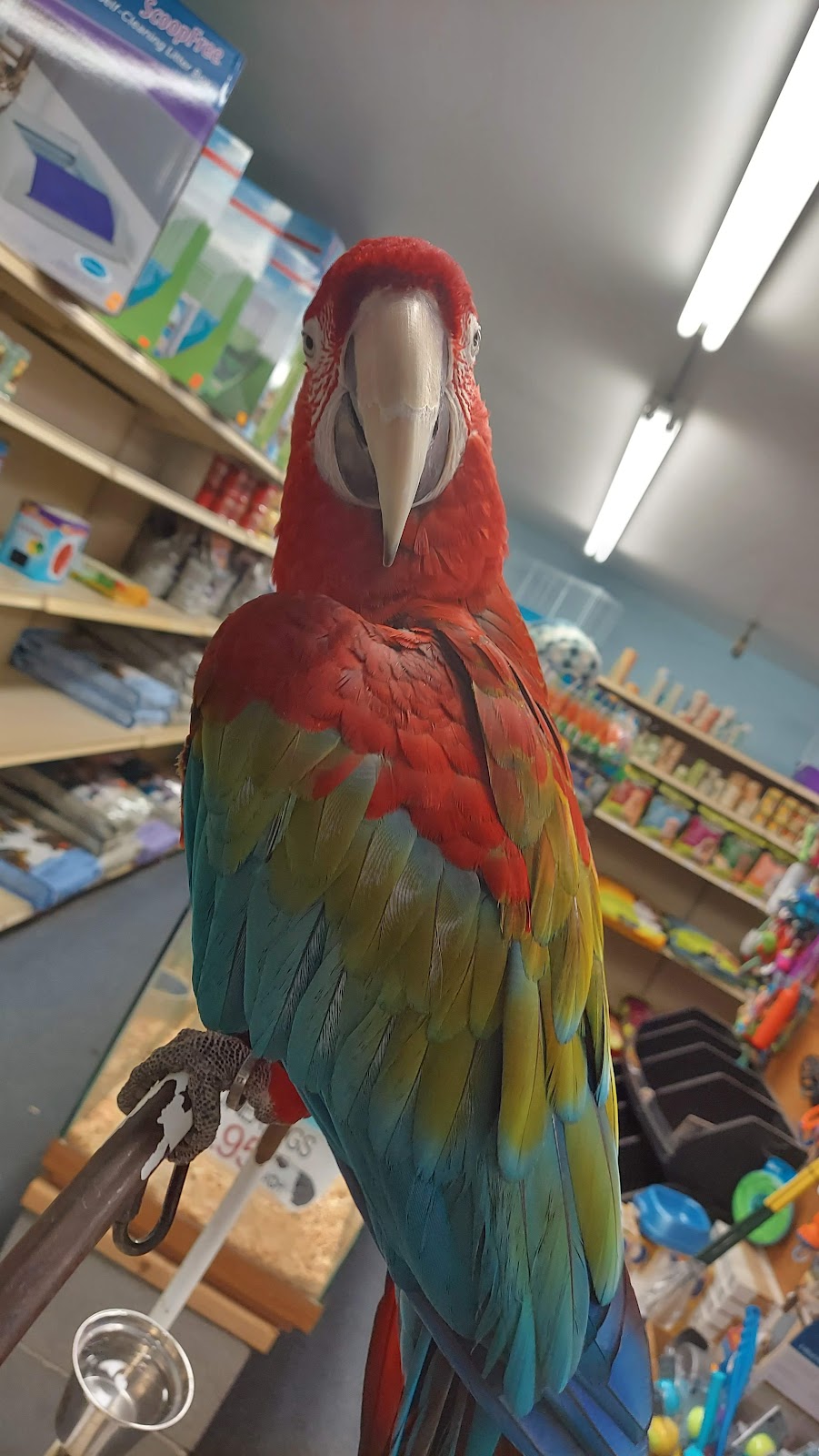 Midway Tropical Fish & Pets | 24101 Pacific Hwy S, Kent, WA 98032, USA | Phone: (206) 824-2616