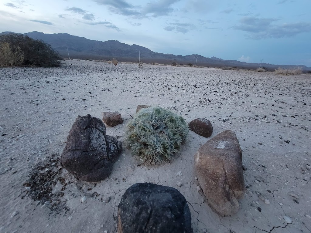 Tule Springs Fossil Beds National Monument | Las Vegas, NV 89124, USA | Phone: (702) 293-8853