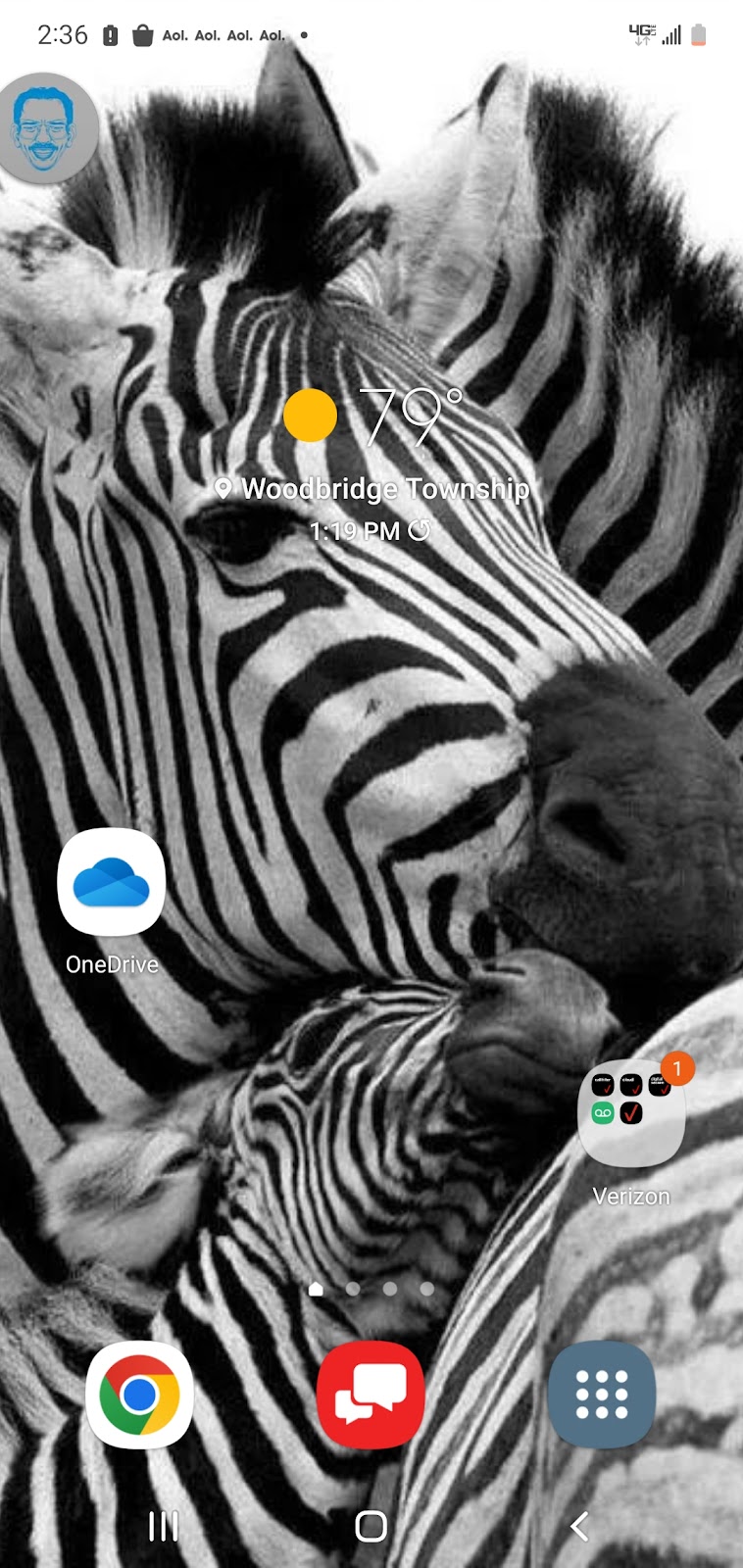 Natures Creek Camel Farm and Zoo | 11660 Grass Lake Rd, Hillsdale, MI 49242, USA | Phone: (734) 347-2888