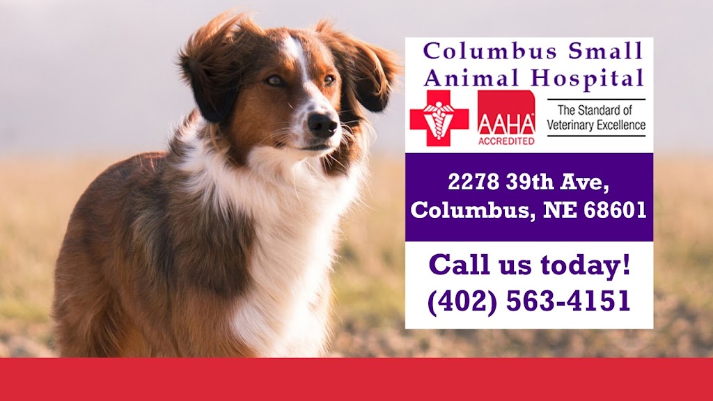 Columbus Small Animal Hospital | 2278 39th Ave, Columbus, NE 68601, USA | Phone: (402) 563-4151