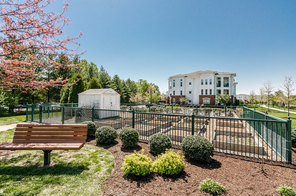 The Everly at Historic Franklin | 413 Brick Path Ln, Franklin, TN 37064 | Phone: (629) 235-4533