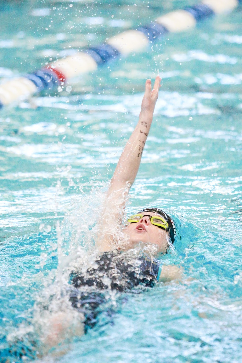 Aquastar Swimming - Sunday