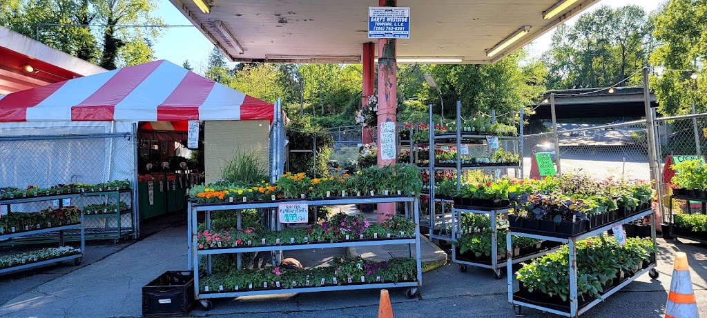 Duanes Garden Patch | 11215 8th Ave S, Seattle, WA 98168, USA | Phone: (206) 244-2924