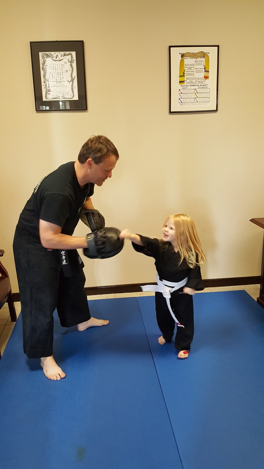 Dragonfly Martial Arts | 6200 Eldorado Pkwy # 200, McKinney, TX 75070, USA | Phone: (972) 547-4440