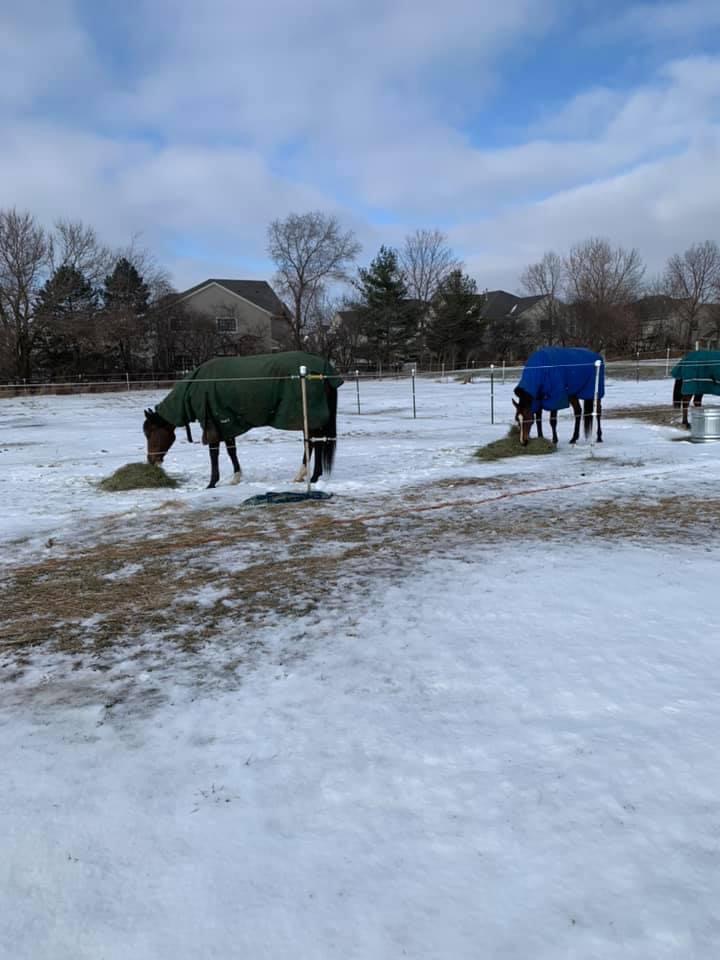 CR Ranch Lessons & Boarding | 16145 Bruce Road, Lockport, IL 60441, USA | Phone: (815) 258-7701